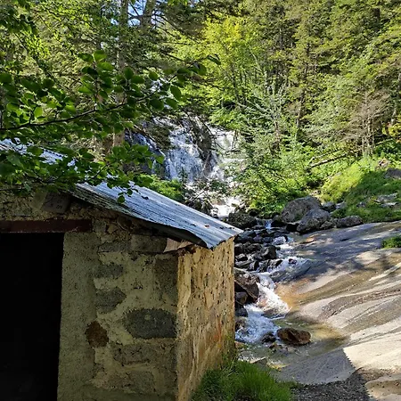 Capstay - Serenity *