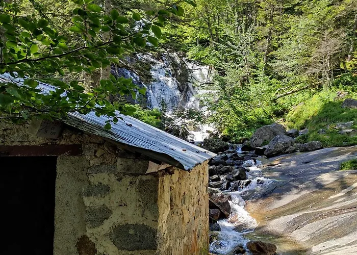 Capstay - Serenity *